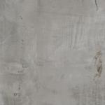 Cisa Ceramiche/Ricchetti Pier Wood Grey 20 x 120cm naturale rett. 